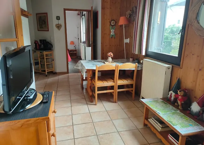 Charmant Appartement 2-4 Personnes Coeur De Chamonix